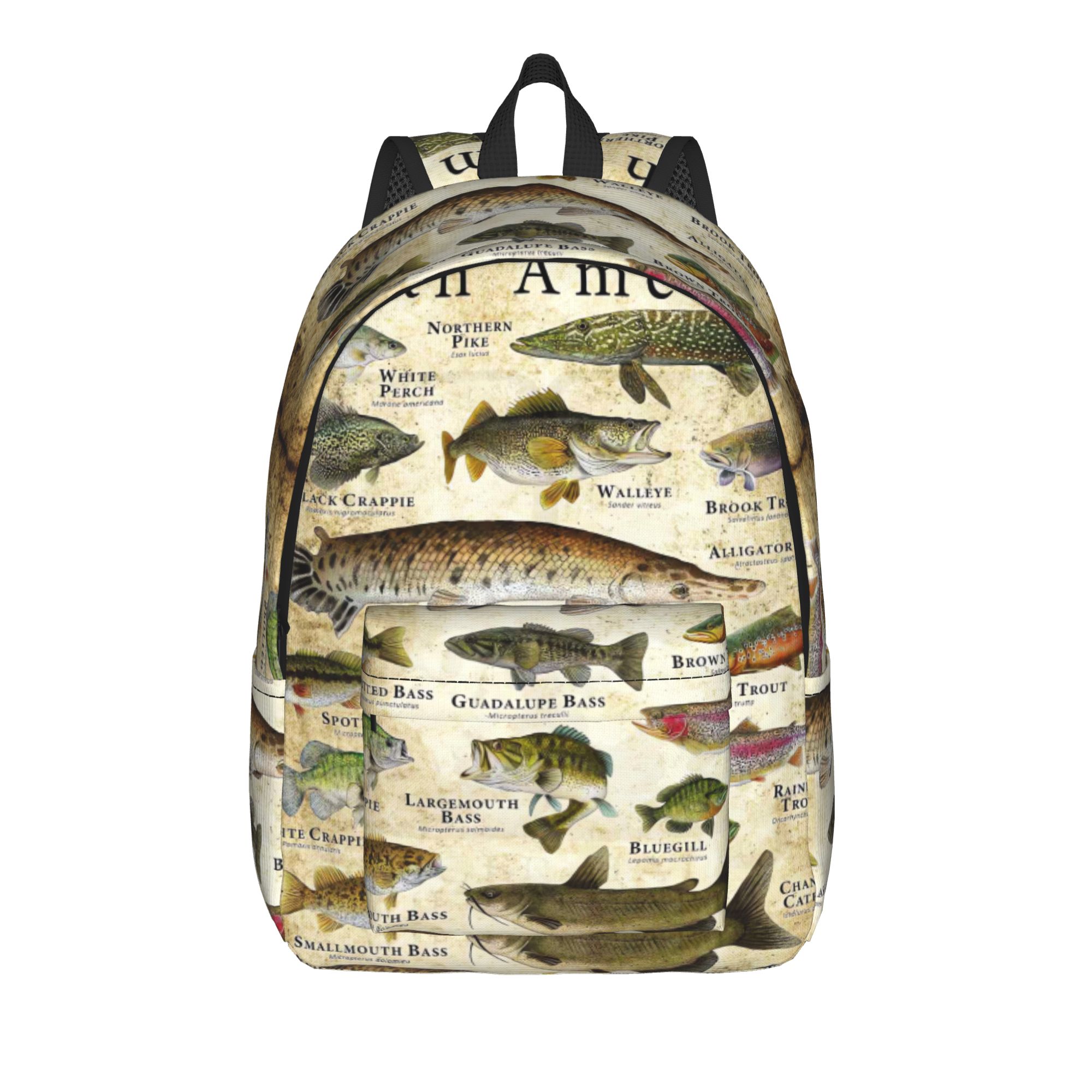 Fish Alphabet Educational Fres - Interior Design Education ulasan dan harga