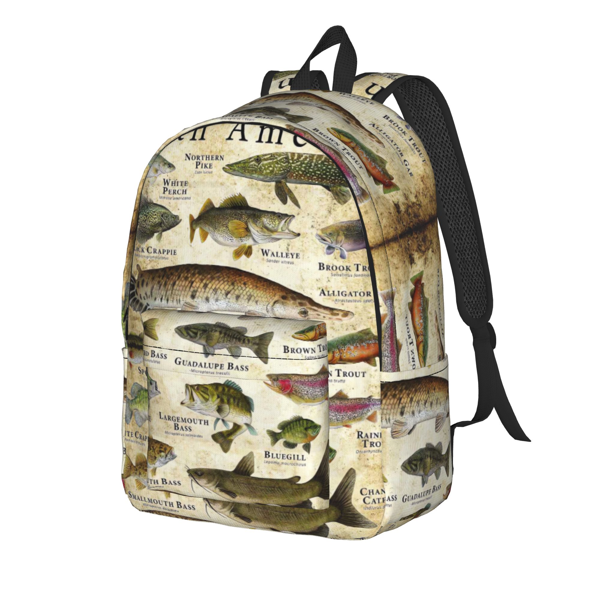 Fish Alphabet Educational Fres - Interior Design Education ulasan dan harga