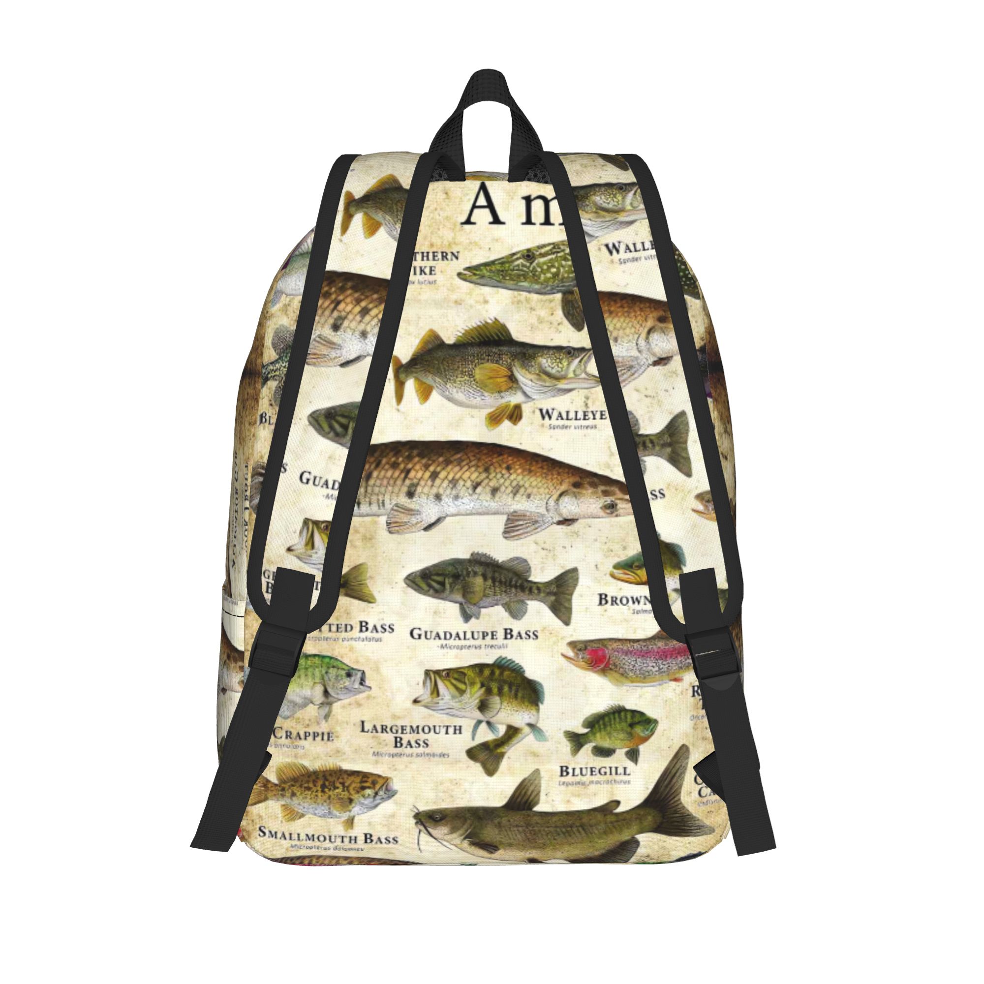 Fish Alphabet Educational Fres - Interior Design Education ulasan dan harga